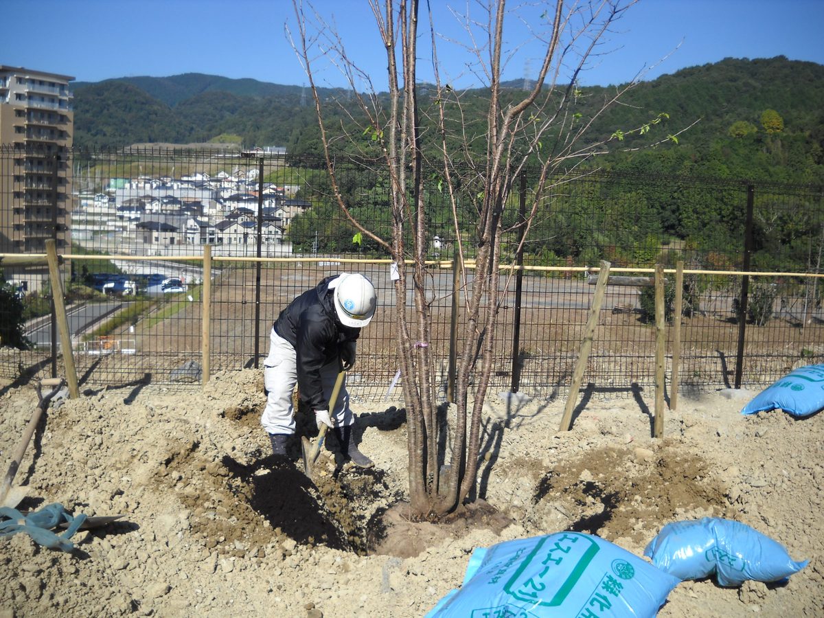 庭園工事・作庭の施工写真