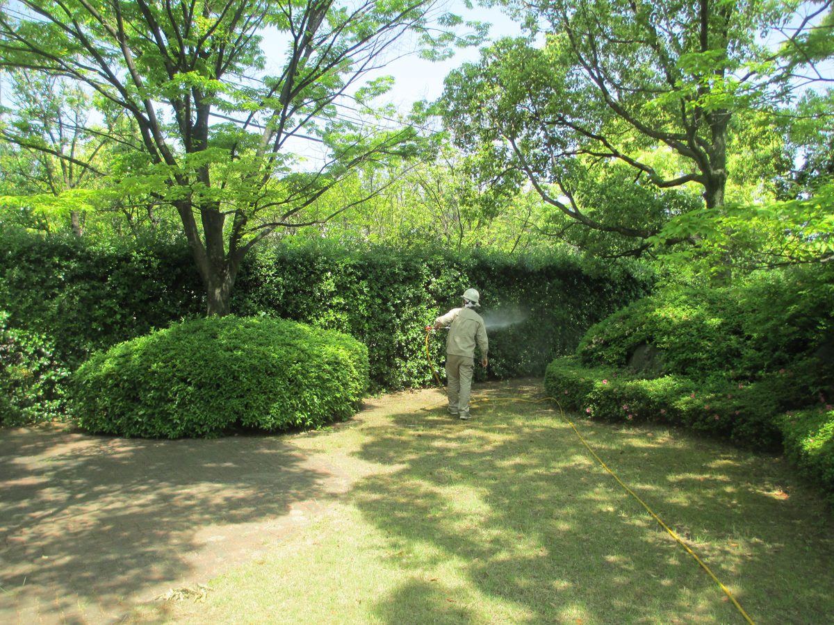 剪定・植栽管理の作業写真